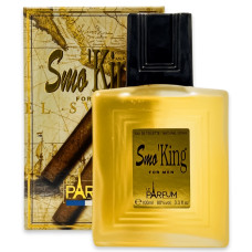 Туалетна вода для чоловіків Paris Elysees Smo`King 100ml