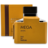 Парфумована вода для чоловіків Flavia Mega 100ml